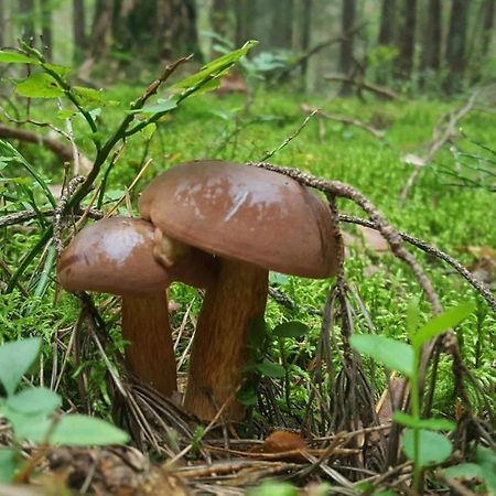 Przystanek Topilo Lozice Bagian luar foto